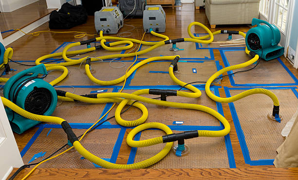 Professional Burst Pipe Water Damage technician working in Cuero, TX